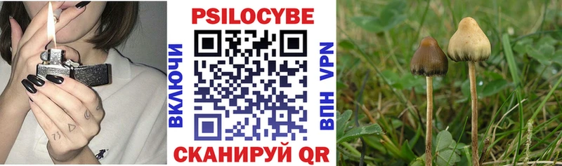 Псилоцибиновые грибы Cubensis  хочу   Белый 